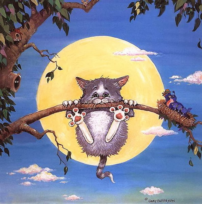 Au Fil Des Pages Les Chats de Gary Patterson 1