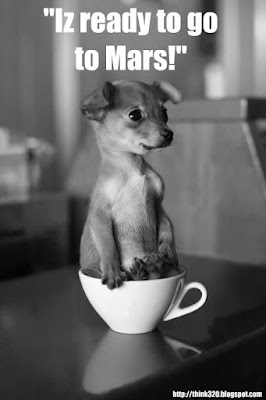 Kleiner Hund in der Tasse will zum Mars