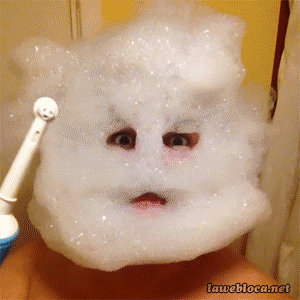 DutchFunQuotes: Funny Gifs People