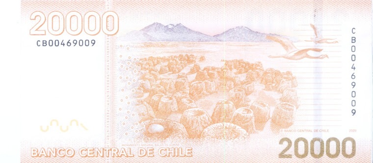 SURIRE en billete de $20.000 pesos