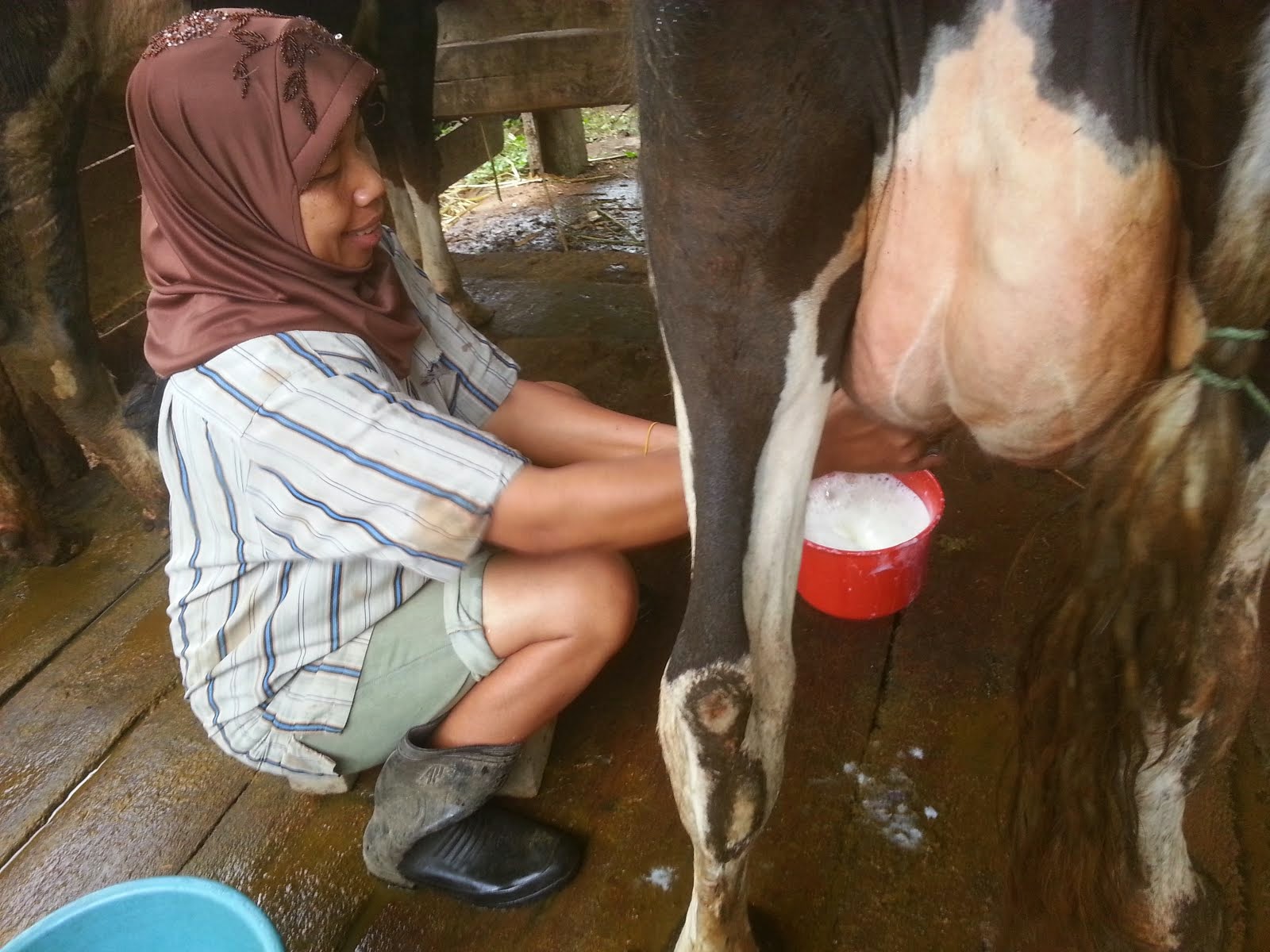 PRODUKSI SUSU RAKYAT