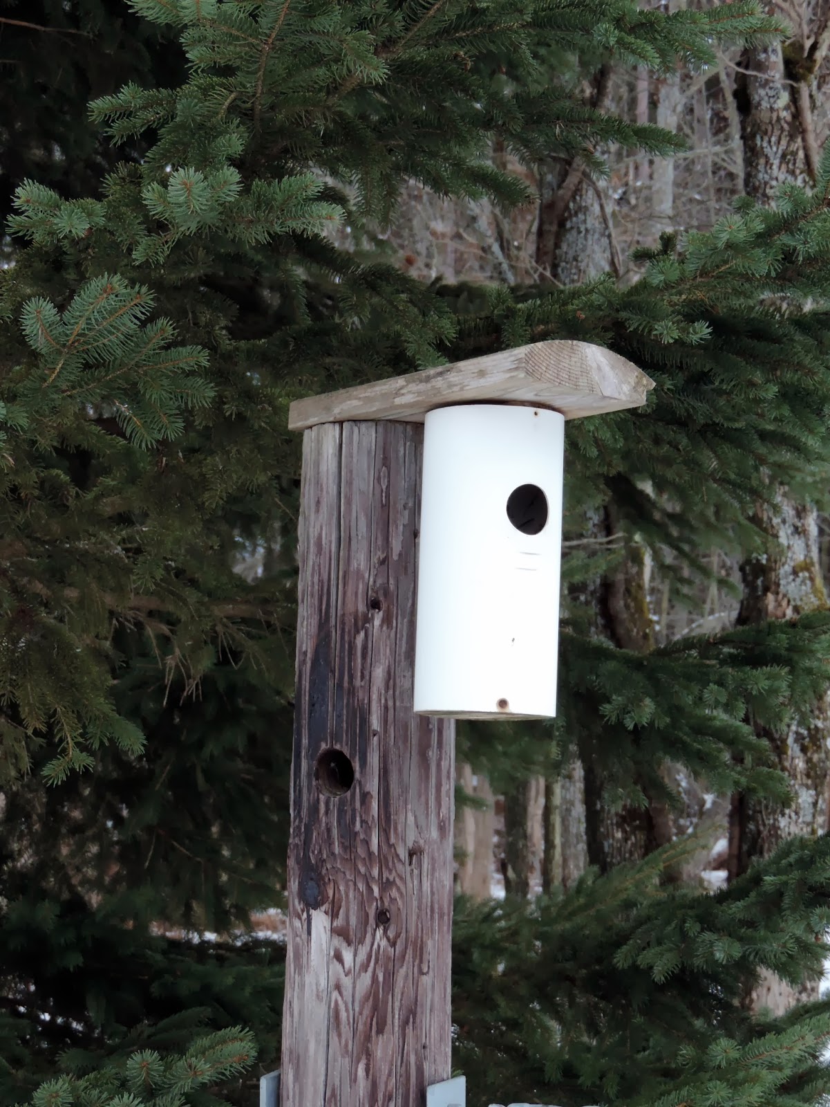 The Northern New York Gardener Birdhouses Think Spring!