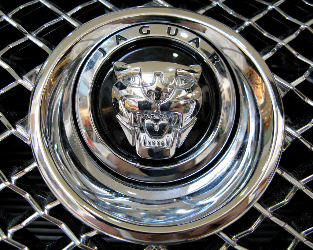 History of All Logos All Jaguar Logos