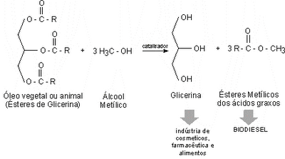 Reação de produção de biodiesel, por etapa