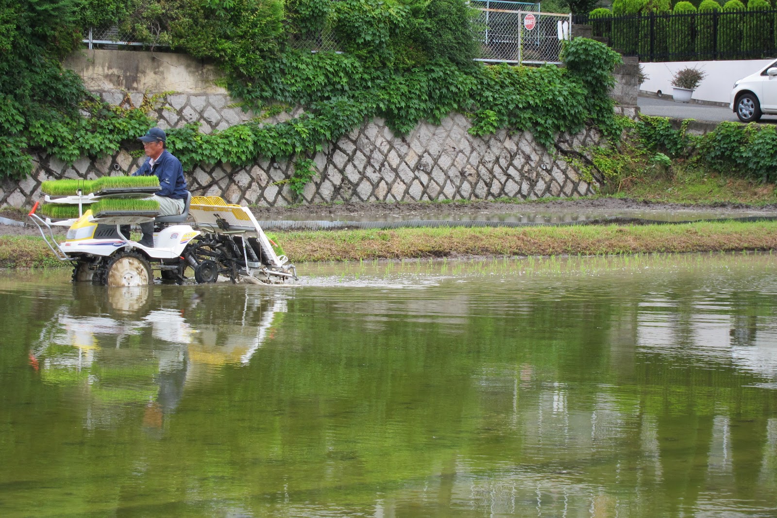 Round of the Seasons in Japan Rice Planter