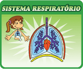 Sistema Respiratório Texto Sistema Respiratório