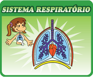 Sistema Respiratório Texto Sistema Respiratório