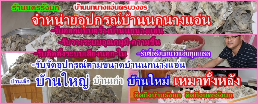 นครรังนก รับซื้อ รังนกนางแอ่น