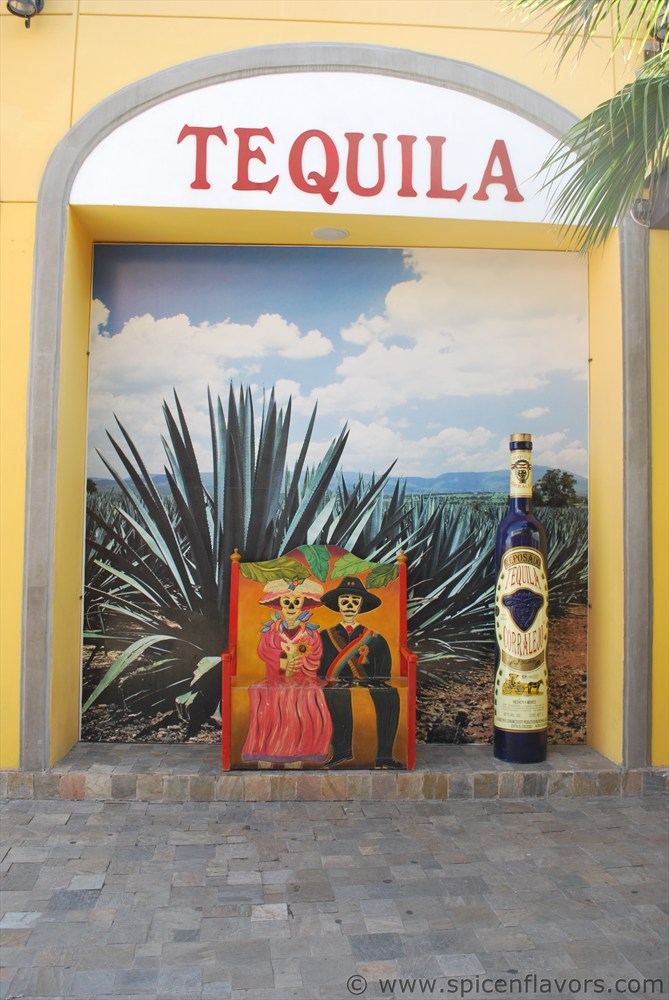 SpiceNFlavors Cruise Trip to Mexico