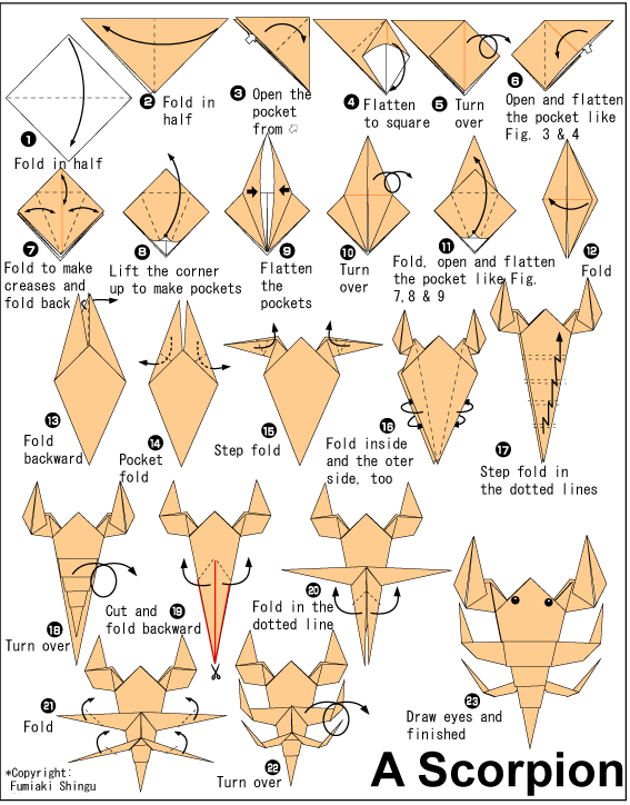 Origami Tutorial Scorpion Origami Instructions,Passion Flower Vine