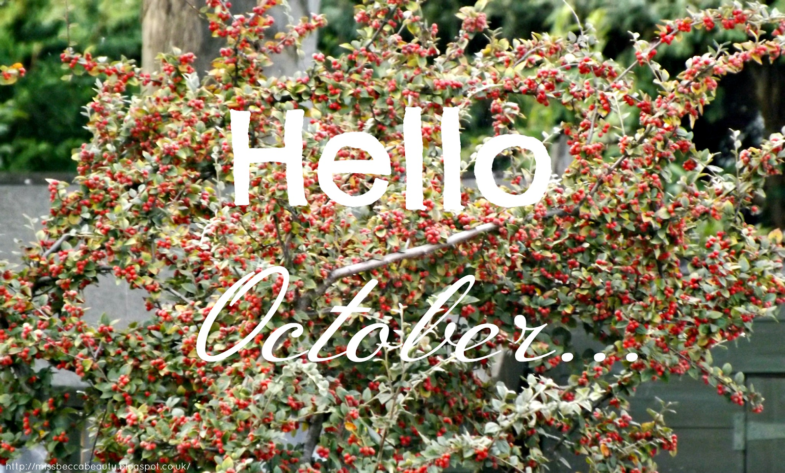 22 inspiring kids thanksgiving table ideas Miss Becca Beauty: Hello October