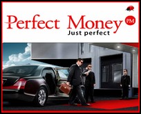 Perfect Money Signup