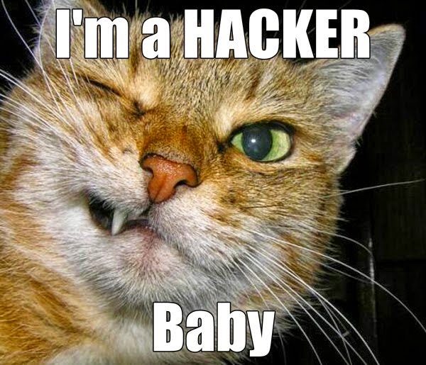 Download Parmod Kapoor