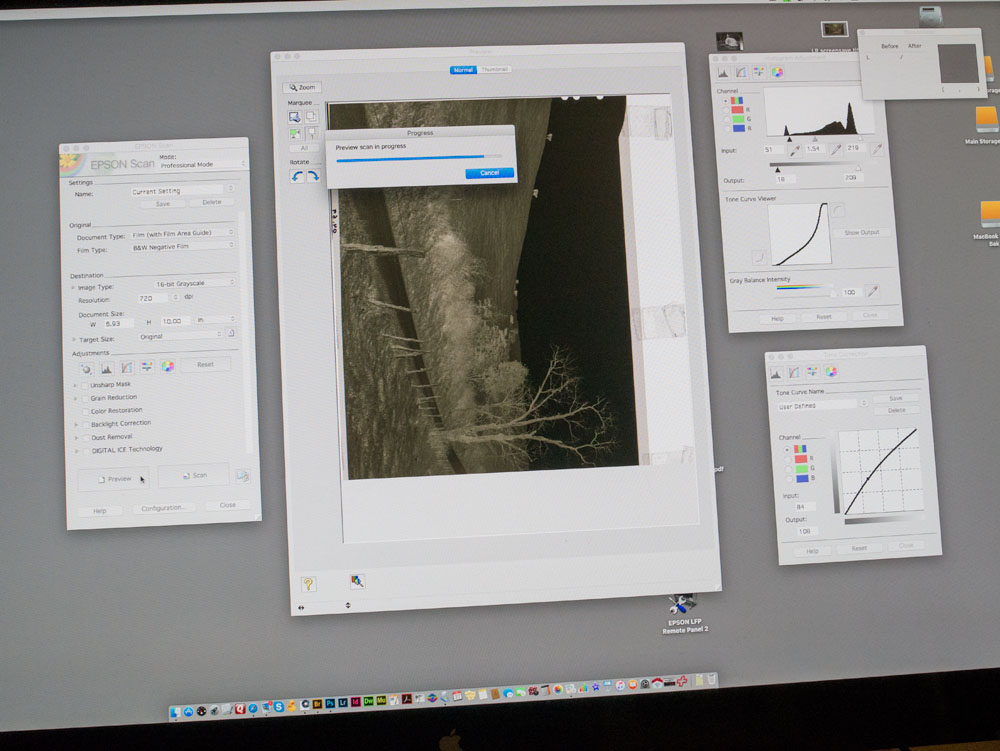 Working Pictures Scanning Large Negatives