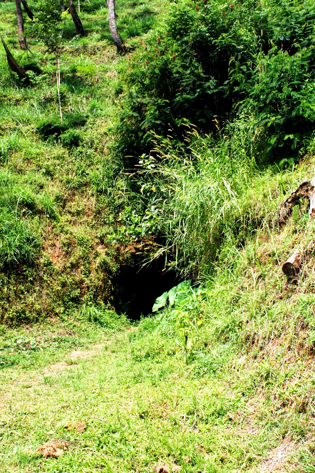 Krepek Tempe Uklam Uklam Ndik Ngalam