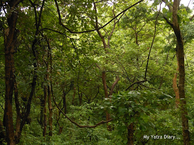 Beautiful landscape to the Tungareshwar temple in Vasai, Mumbai