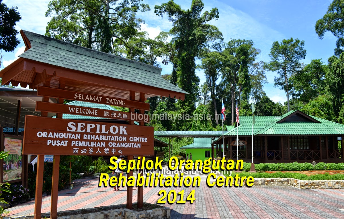 Sepilok Orangutan Rehabilitation Centre Sandakan