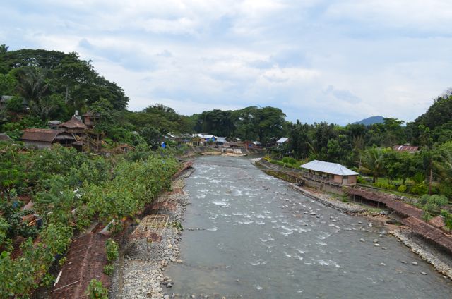 Bukit Lawang