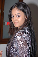 Tamil, actress, chandni, latest, photos