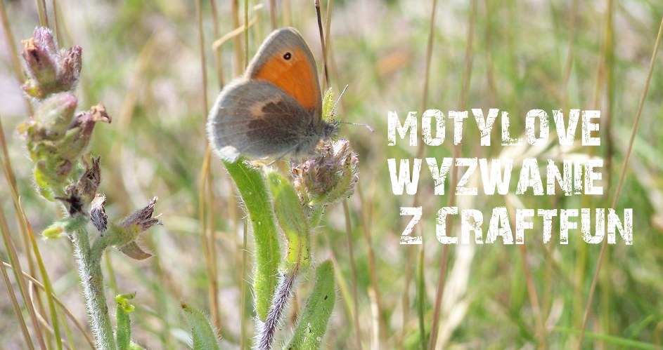 http://craftfunsklep.blogspot.com/2015/04/motylove-wyzwanie-37.html