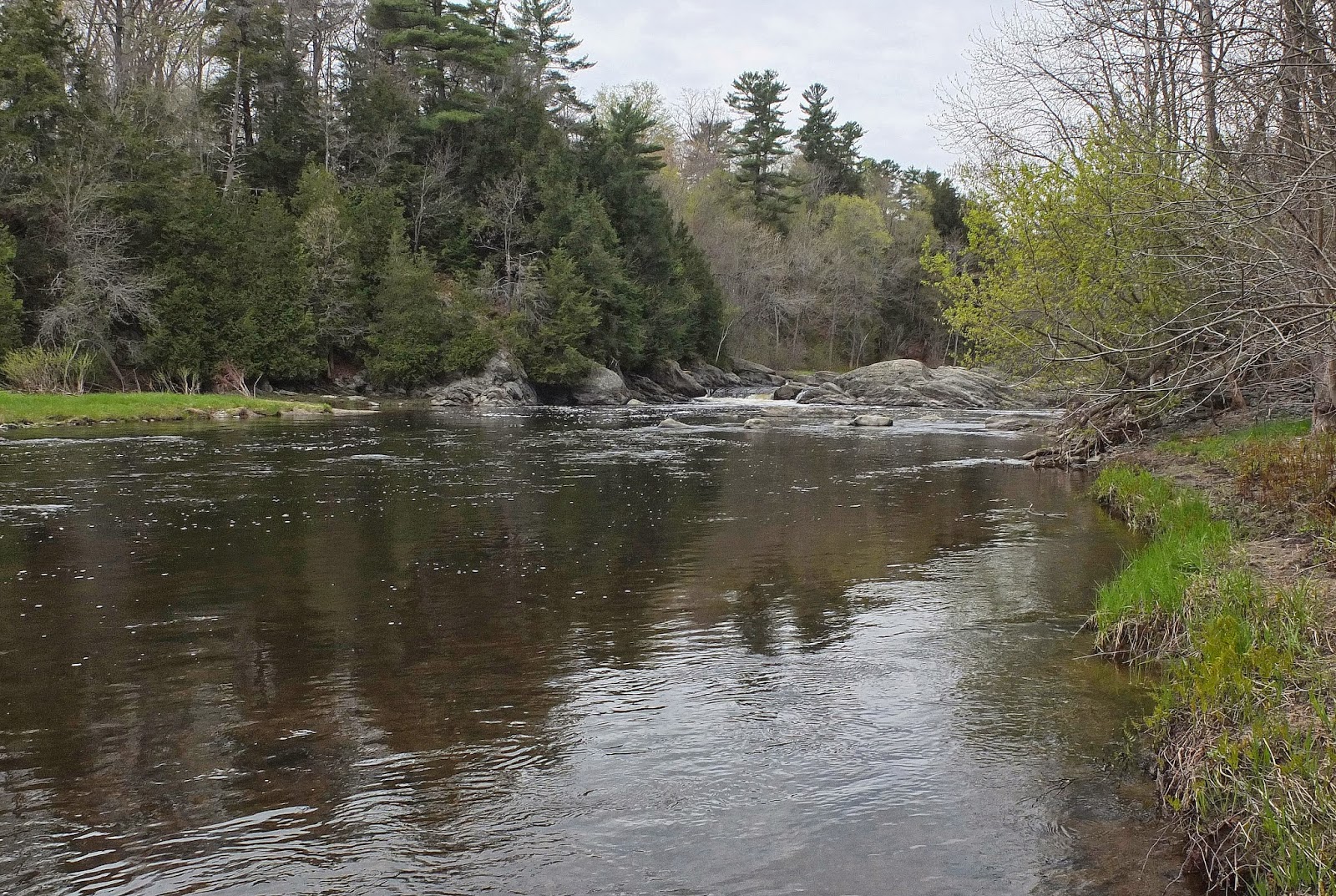 Hiking in Maine with Kelley 5/14/14 Kenduskeag Stream Trail