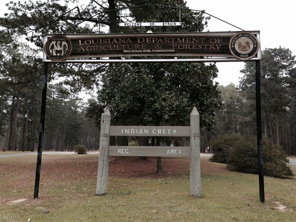 CAJUN CRAWL with us as we experience the food, music