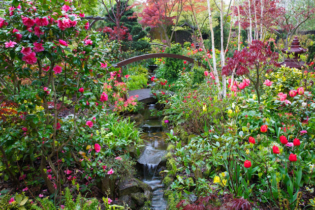 drelis gardens four seasons garden
