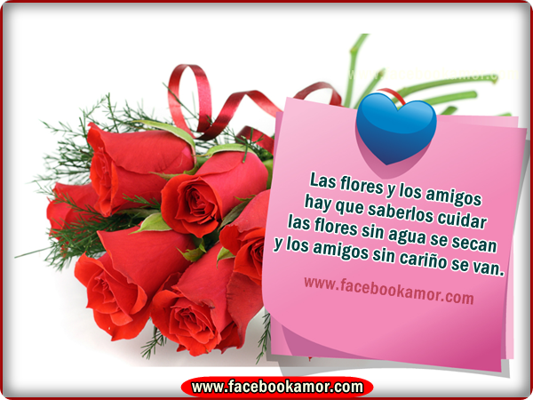 IMAGENES CON FRASES BONITAS Imagenes Bonitas para Facebook Amor y ...