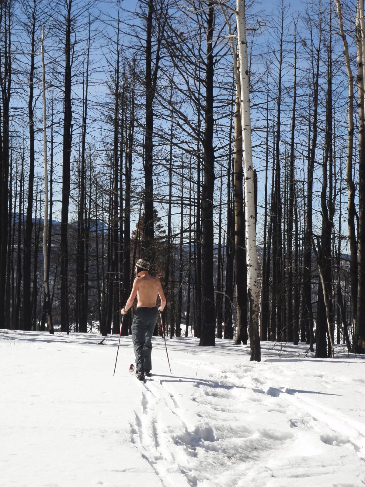 Pajarito Nordic Ski Trail Front Range Rambler: Pajarito Mountain: New Mexico Nordic