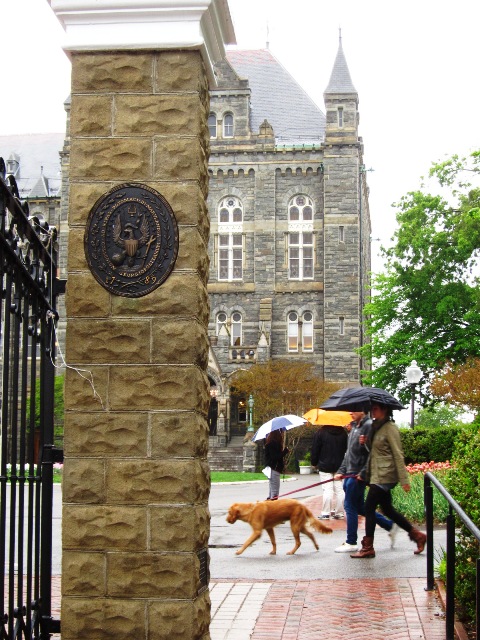 Hipster Assimilation 雨でも美しいジョージタウン大学