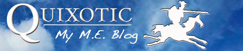 Quixotic: My M.E. Blog