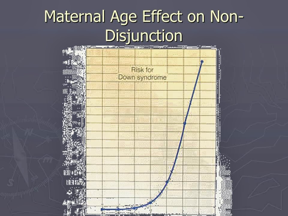 Slide 11
