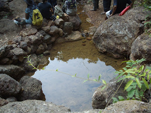 Sat(24-3-2011):-"Dharnyachi Ghaan":- This small pond is a perinneal spring.