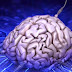 Google crea el primer cerebro artificial con capacidad de dominar videojuegos