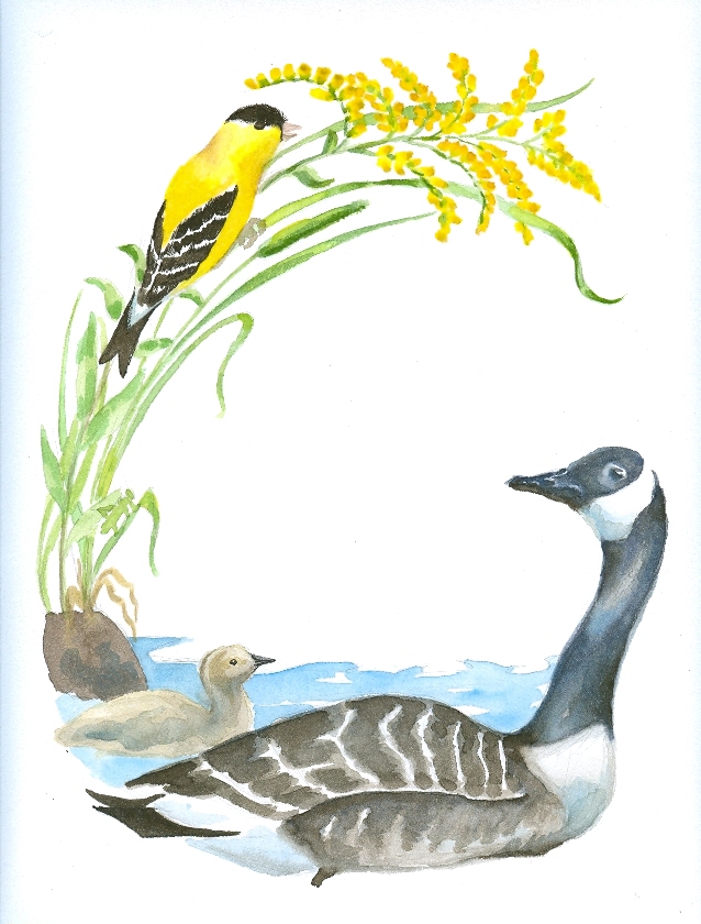 Watercoloring Daily The Letter G in Nature