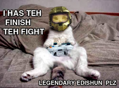 Funny Cat Memes Funny Cat Memes