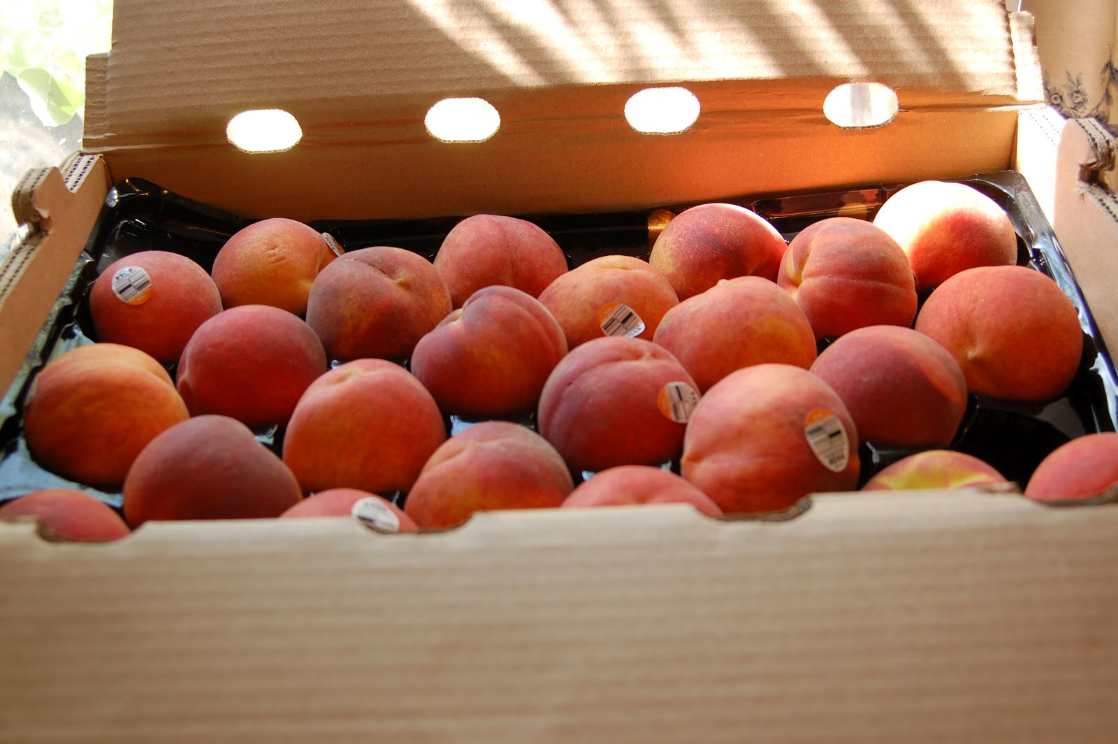 Dehydrating Way Beyond Jerky Dehydrating Peaches Just Washed and Sliced