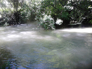 Agua teñida de blanco en el rio uerpo de hombre en el dia de hoy