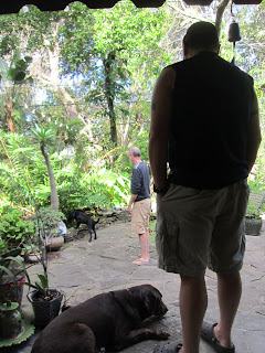Erik and Willow watch from the deck as Coach and Fred look into the Koi pond. Coach is leaning over the pond. Erik and Willow watch from the deck as Coach and Fred look into the Koi pond. Coach is leaning over the pond.