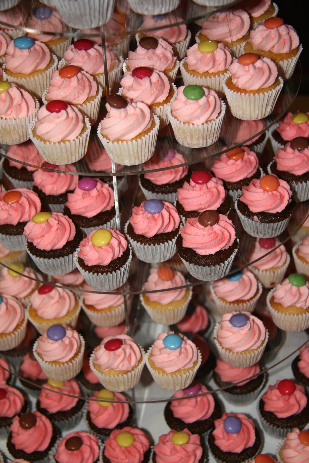 Lottie's Cupcakes, Cambridge