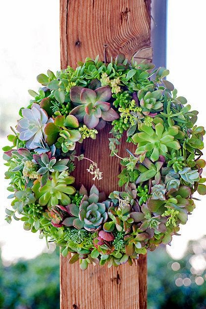 Succulent Wreath