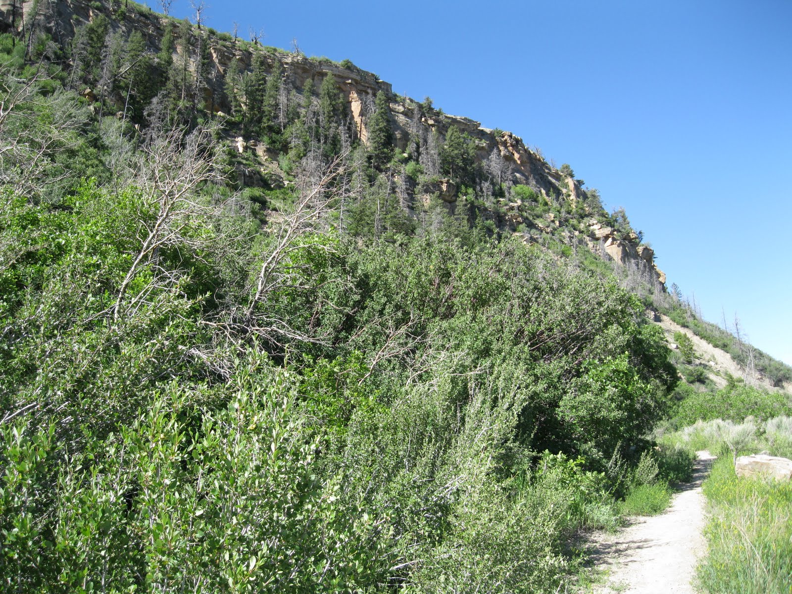 Four Corners HikesMesa Verde Knife Edge Trail Bird Hike