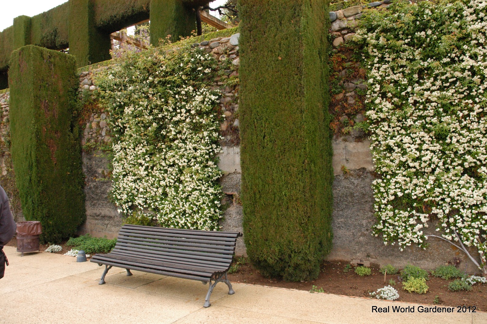 Real World Gardener Plants for Living Walls