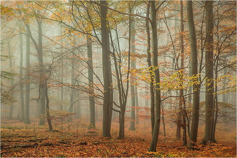 Emerging Photographers, Best Photo of the Day in Emphoka by HG Emerging Photographers, Best Photo of the Day in Emphoka by HG