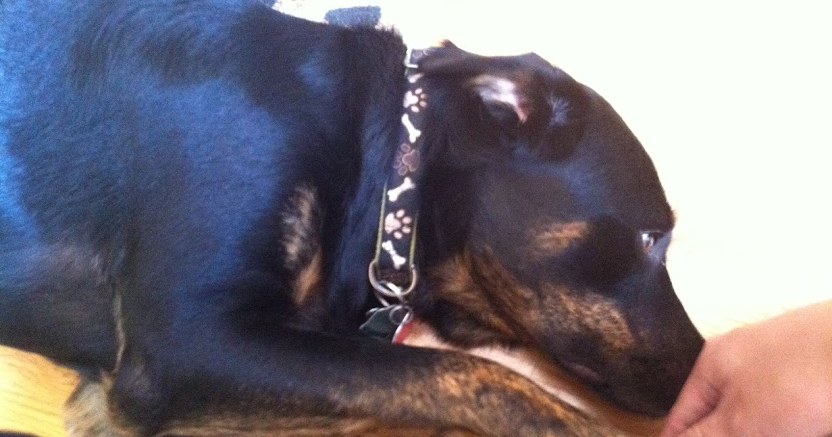 AP Biology: Biological Collection: Eukaryote