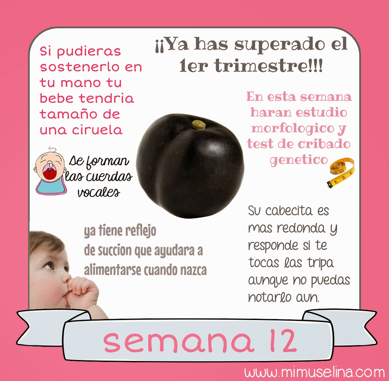 CALCULO DE SEMANA DE GESTACION calculo de semana de gestacion: