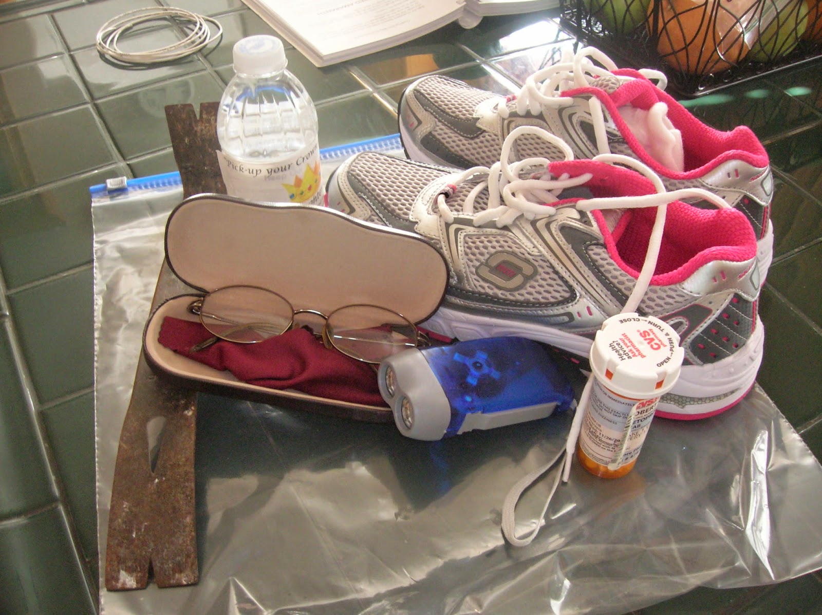 The Ark Carson Ward Under the Bed Earthquake Kit