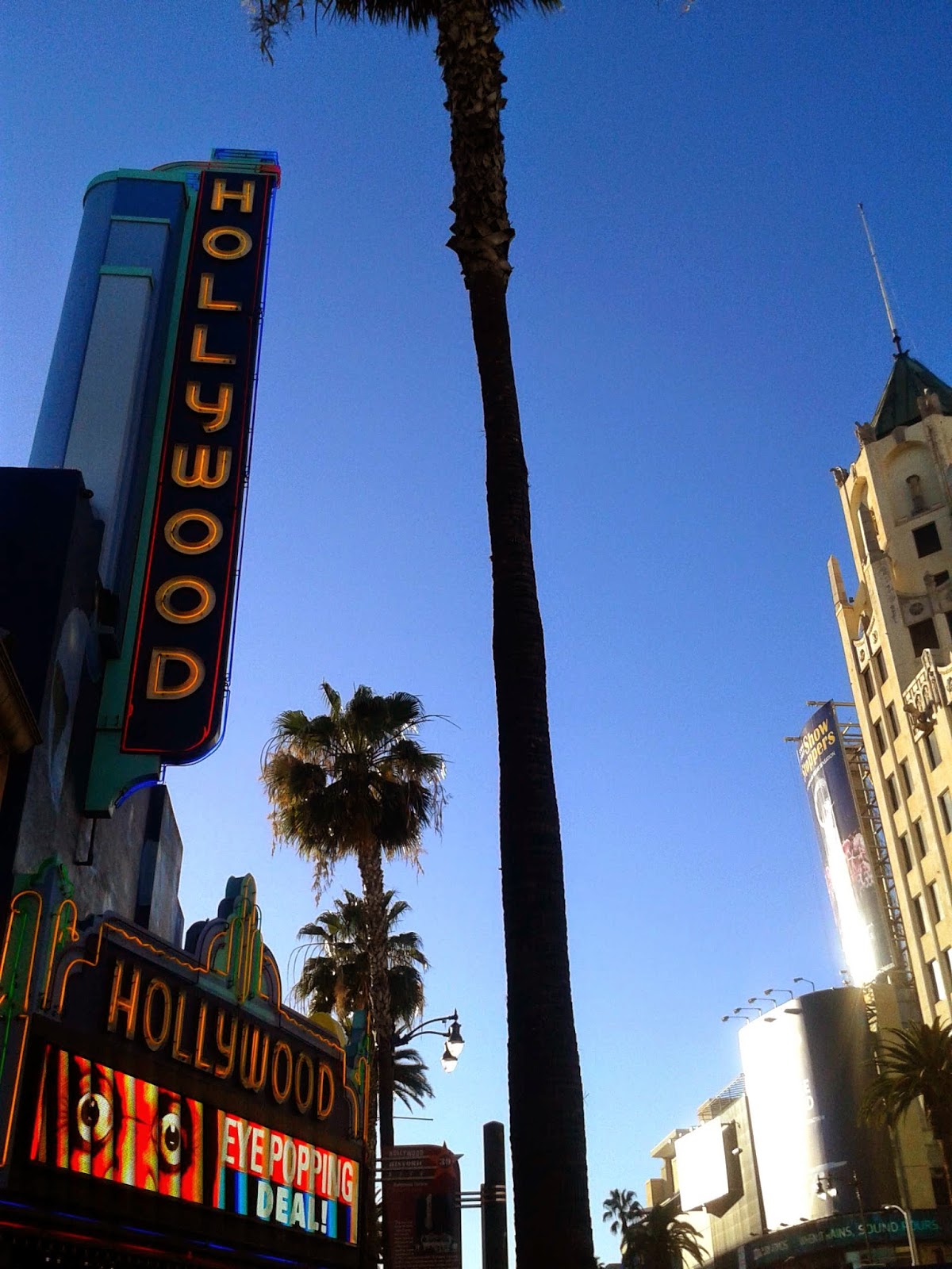 Vacation Rentals Homes Hotels Experiences More Airbnb