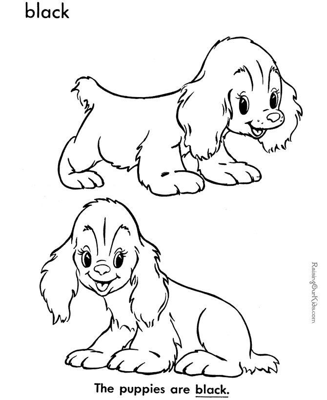Print Dog Pictures Print Dog Pictures