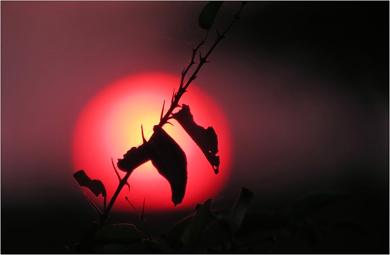 Compact Camera, Best Photo of the Day in Emphoka by Tdwrsa, Canon PowerShot SX40 HS, https://flic.kr/p/nioke6 Compact Camera, Best Photo of the Day in Emphoka by Tdwrsa, Canon PowerShot SX40 HS, https://flic.kr/p/nioke6